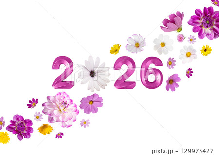 Blue numbers 2026 New Year and flowers isolated on a white background. Simple and clean design Happy New Year and Merry Christmas. 129975427