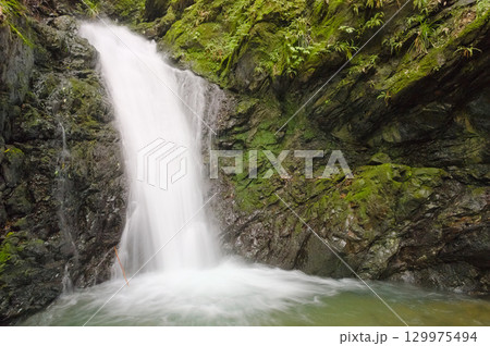 東京都奥多摩町の寸庭滝、上滝 129975494