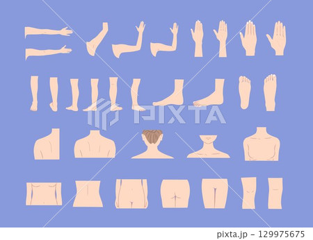 女性の身体の部位のイラストセット 129975675