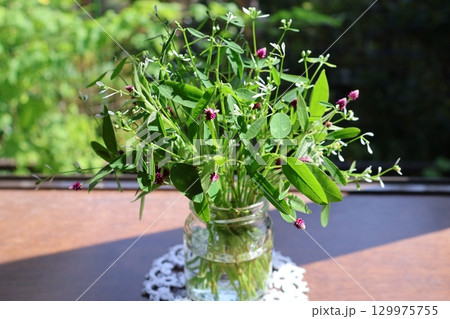 切り戻したユーフォルビアとアルテルナンテラを生ける 129975755