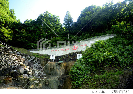 ホッサマグナパーク 129975784