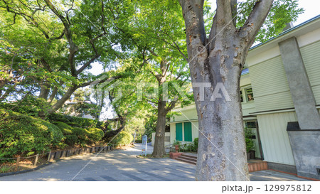 緑に囲まれた山手西洋館エリスマン邸 129975812