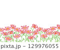 水彩風のコスモス 129976055