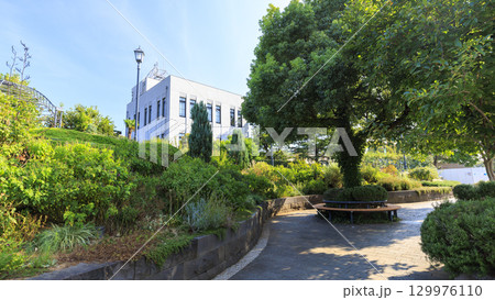 新緑の木々に囲まれた横浜地公気象台 129976110