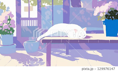 縁側で眠る白猫と花のあるやさしい風景 129976147