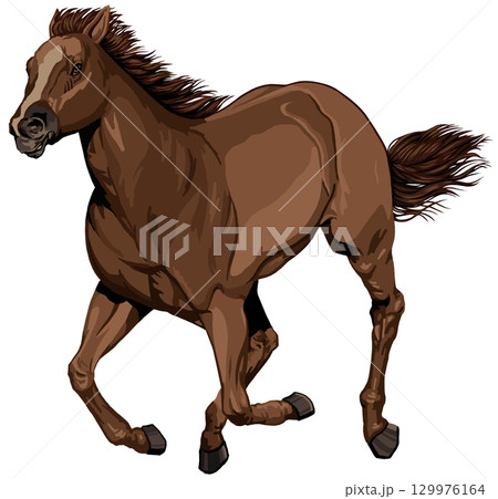 駆ける茶毛馬 129976164