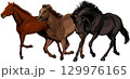 疾走する馬3頭 129976165