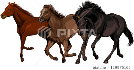 疾走する馬3頭 129976165