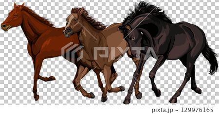 疾走する馬3頭 129976165