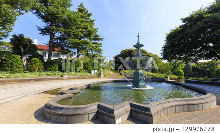 横浜市の港の見える丘公園の夏 横浜市の港の見える丘公園の夏 129976278
