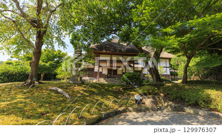 池のある三渓園 129976307