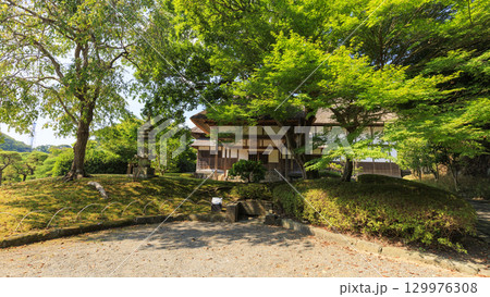 池のある三渓園 129976308