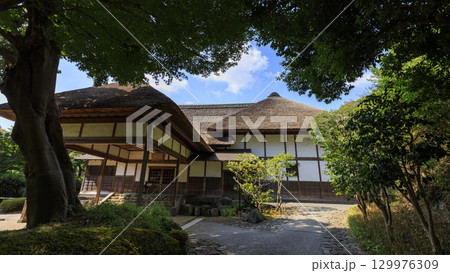 池のある三渓園 129976309