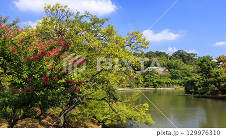 池のある三渓園 129976310