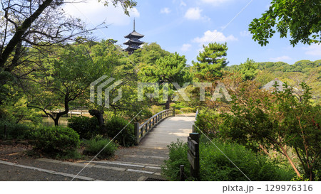 池のある三渓園 129976316