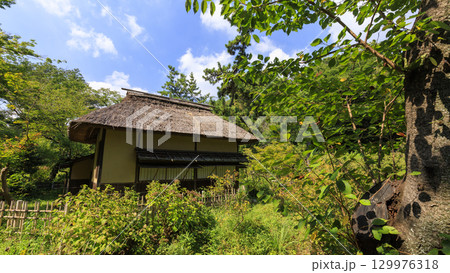 池のある三渓園 129976318