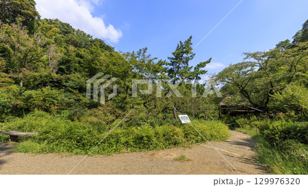 池のある三渓園 129976320