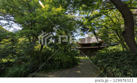 池のある三渓園 129976321