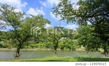 池のある三渓園 129976323