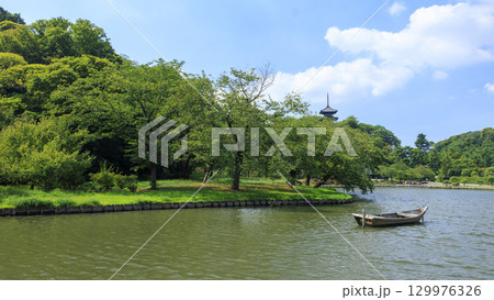 池のある三渓園 129976326