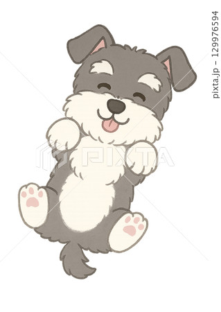 【かわいい動物キャラ】寝そべるミニチュアシュナウザー|子ども向け教材・おたより素材 【かわいい動物キャラ】寝そべるミニチュアシュナウザー|子ども向け教材・おたより素材 129976594