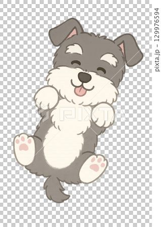 [Cute Animal Character] Lying Down Miniature Schnauzer | Educational Materials for Children 129976594