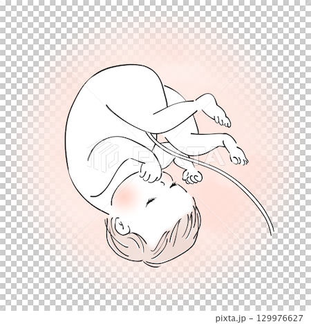 子宮裡的嬰兒 129976627