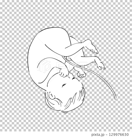 へその緒のついた赤ちゃん 129976630