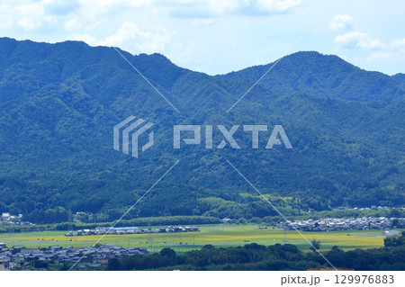 山裾に広がる田畑と住宅 山裾に広がる田畑と住宅 129976883