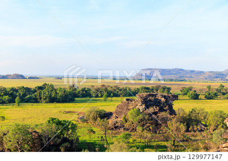オーストラリア　ノーザンテリトリーウビル(Ubirr)の岩山の頂上からの景色 129977147