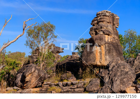 オーストラリア　ノーザンテリトリーウビル(Ubirr)の自然にできた遺跡のような不思議な岩 129977150