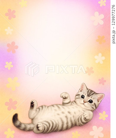 へそ天でくつろぐアメリカンショートヘア子猫のお知らせテンプレート 129977276