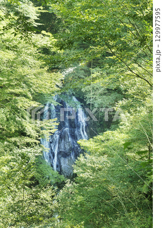 山梨県、西沢渓谷の景色 129977595