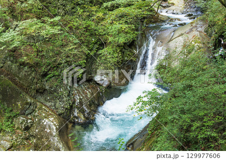 山梨県、西沢渓谷の景色 山梨県、西沢渓谷の景色 129977606