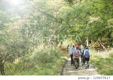 山梨県、西沢渓谷の景色 129977617