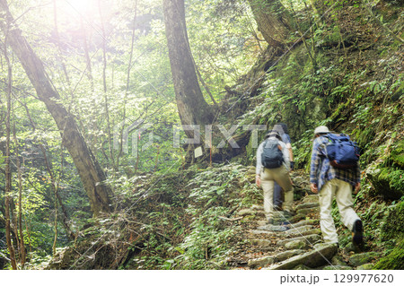 山梨県、西沢渓谷の景色 129977620