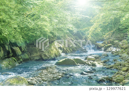 山梨県、西沢渓谷の景色 129977621