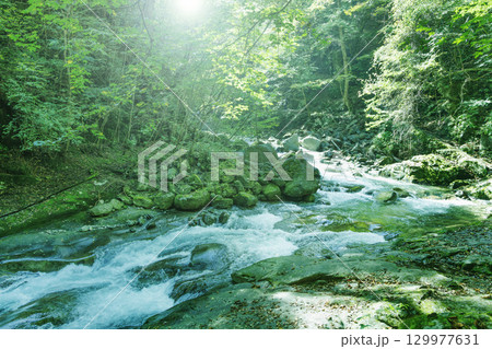 山梨県、西沢渓谷の景色 129977631