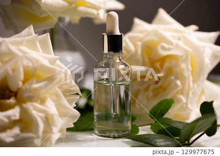Natural Rose Oil Beside Blooming Buds for Skincare and Beauty Enhancement 129977675