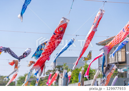 鯉のぼりです。 129977933