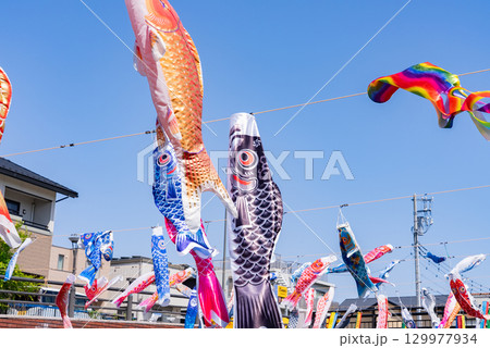 鯉のぼりです。 129977934