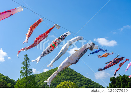 こいのぼりです。 129977939