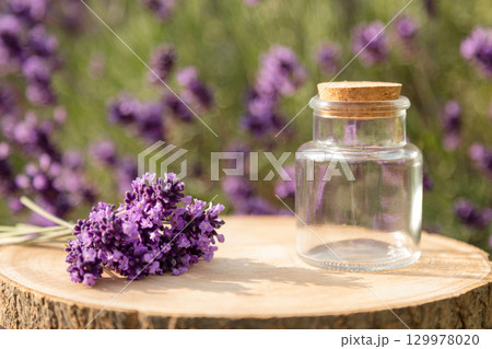Bouquet of lavender on stump. Glass jar with cork and lavender. Lavender bushes. Lavender background 129978020