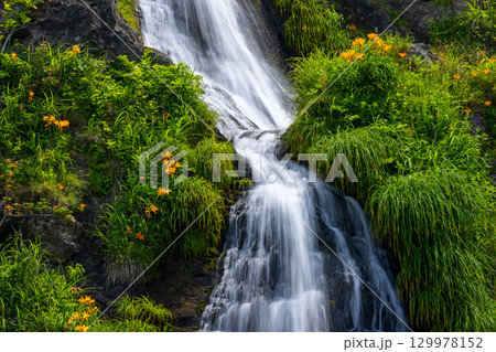 新潟県佐渡市岩谷口 外海府海岸沿い佐渡一周線からのヤマユリやトビシマカンゾウが咲く五段の滝の景色 新潟県佐渡市岩谷口 外海府海岸沿い佐渡一周線からのヤマユリやトビシマカンゾウが咲く五段の滝の景色 129978152