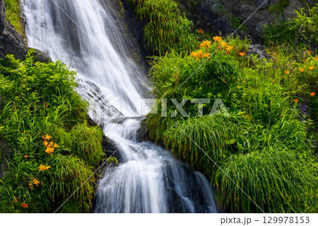 新潟県佐渡市岩谷口 外海府海岸沿い佐渡一周線からのヤマユリやトビシマカンゾウが咲く五段の滝の景色 新潟県佐渡市岩谷口 外海府海岸沿い佐渡一周線からのヤマユリやトビシマカンゾウが咲く五段の滝の景色 129978153