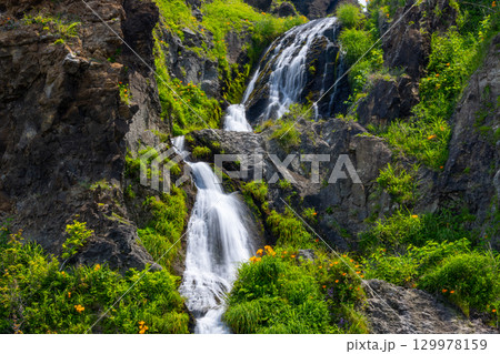 新潟県佐渡市岩谷口　外海府海岸沿い佐渡一周線からのヤマユリやトビシマカンゾウが咲く五段の滝の景色 129978159