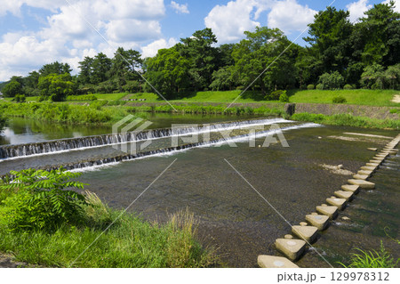 京都 賀茂川の流れと北山飛び石 京都府立植物園付近 京都 賀茂川の流れと北山飛び石 京都府立植物園付近 129978312