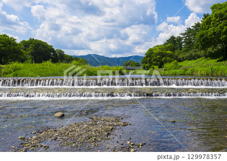 京都　賀茂川の流れ　京都府立植物園付近　 129978357