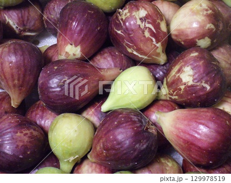 たくさんのイチジク 129978519