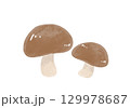 椎茸のイラスト 129978687